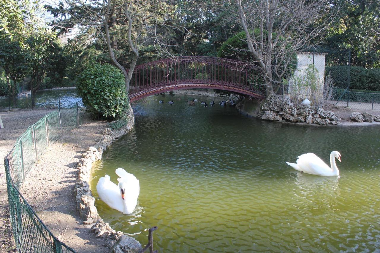 La Maison Du Canal - Canal Studio Homps  Ngoại thất bức ảnh